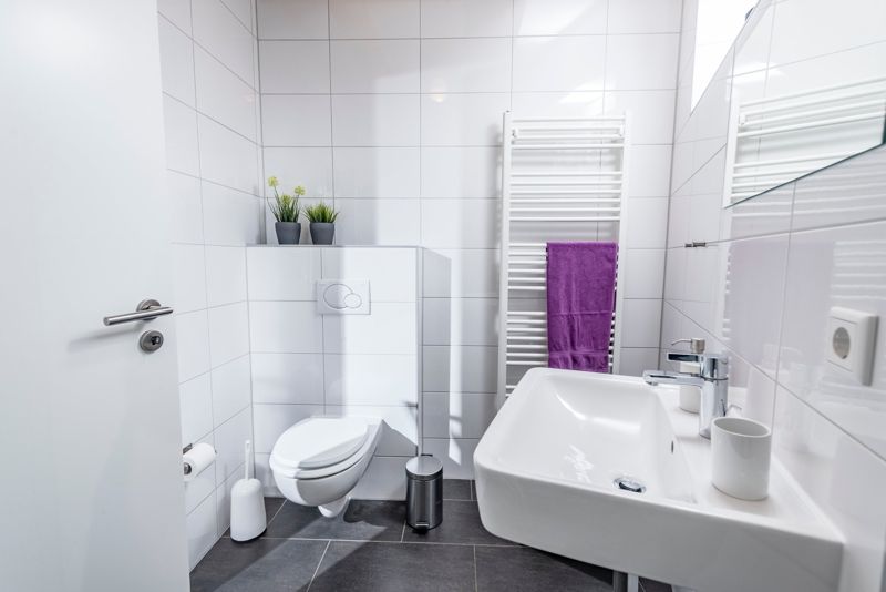 Toilet and washbasin in the shower room